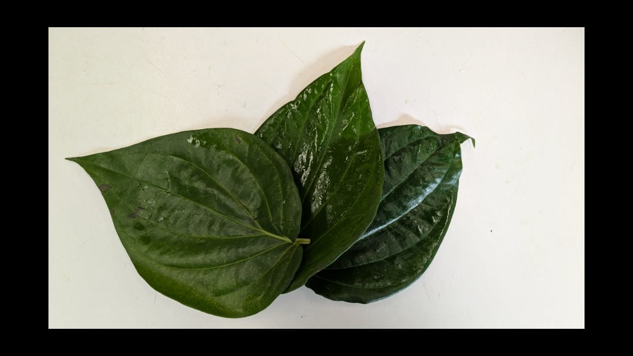 Mango Leaf ( 4piece)